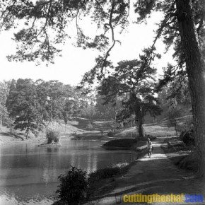 Ward's Lake, Shillong (1948)